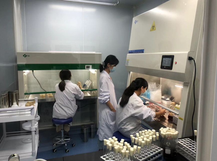 公共衛(wèi)生檢測的重要性，你了解嗎？
